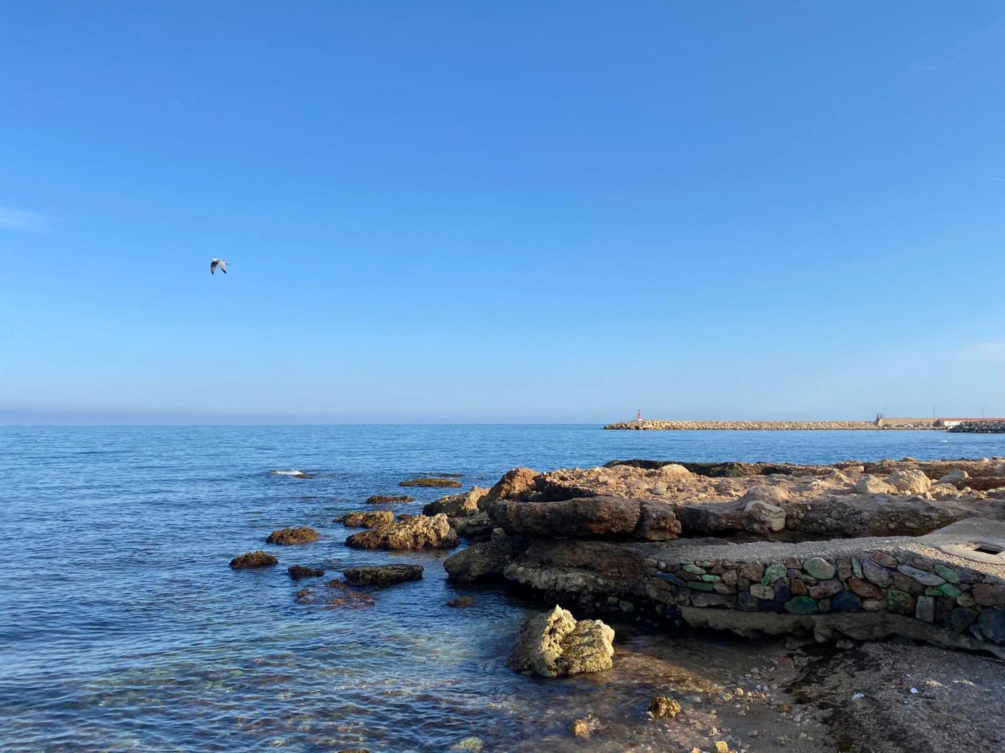 Casa Queralt Daire Les Cases d'Alcanar Dış mekan fotoğraf